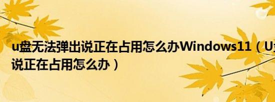 u盘无法弹出说正在占用怎么办Windows11（U盘无法弹出说正在占用怎么办）