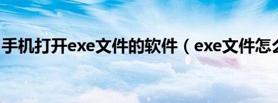 手机打开exe文件的软件（exe文件怎么打开）