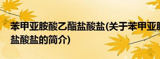 苯甲亚胺酸乙酯盐酸盐(关于苯甲亚胺酸乙酯盐酸盐的简介)