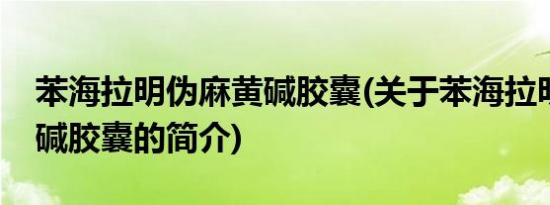 苯海拉明伪麻黄碱胶囊(关于苯海拉明伪麻黄碱胶囊的简介)