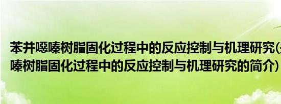 苯并噁嗪树脂固化过程中的反应控制与机理研究(关于苯并噁嗪树脂固化过程中的反应控制与机理研究的简介)