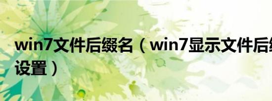 win7文件后缀名（win7显示文件后缀名怎么设置）