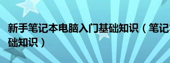 新手笔记本电脑入门基础知识（笔记本电脑基础知识）