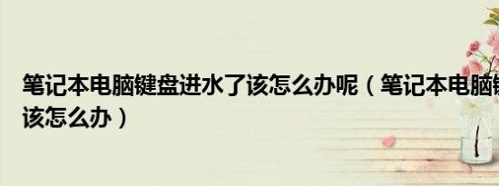 笔记本电脑键盘进水了该怎么办呢（笔记本电脑键盘进水了该怎么办）