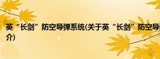 英“长剑”防空导弹系统(关于英“长剑”防空导弹系统的简介)