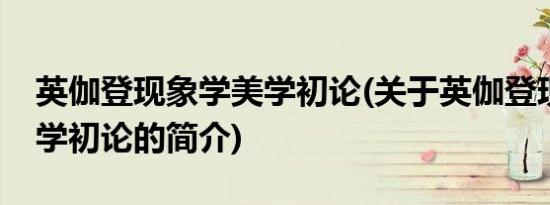 英伽登现象学美学初论(关于英伽登现象学美学初论的简介)