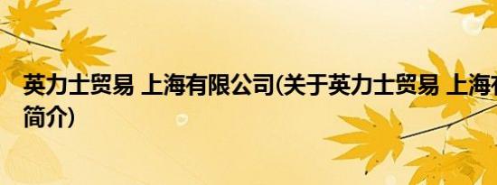 英力士贸易 上海有限公司(关于英力士贸易 上海有限公司的简介)