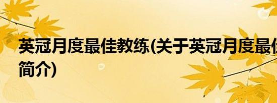 英冠月度最佳教练(关于英冠月度最佳教练的简介)