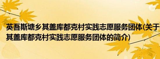 英吾斯塘乡其盖库都克村实践志愿服务团体(关于英吾斯塘乡其盖库都克村实践志愿服务团体的简介)