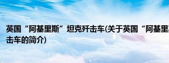 英国“阿基里斯”坦克歼击车(关于英国“阿基里斯”坦克歼击车的简介)