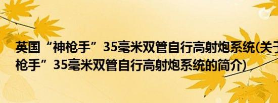 英国“神枪手”35毫米双管自行高射炮系统(关于英国“神枪手”35毫米双管自行高射炮系统的简介)