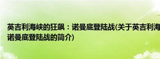 英吉利海峡的狂飙：诺曼底登陆战(关于英吉利海峡的狂飙：诺曼底登陆战的简介)