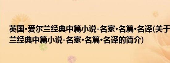 英国·爱尔兰经典中篇小说-名家·名篇·名译(关于英国·爱尔兰经典中篇小说-名家·名篇·名译的简介)