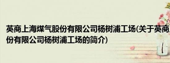 英商上海煤气股份有限公司杨树浦工场(关于英商上海煤气股份有限公司杨树浦工场的简介)