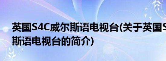 英国S4C威尔斯语电视台(关于英国S4C威尔斯语电视台的简介)