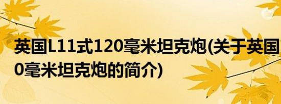 英国L11式120毫米坦克炮(关于英国L11式120毫米坦克炮的简介)