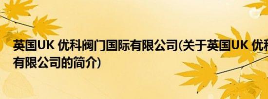 英国UK 优科阀门国际有限公司(关于英国UK 优科阀门国际有限公司的简介)