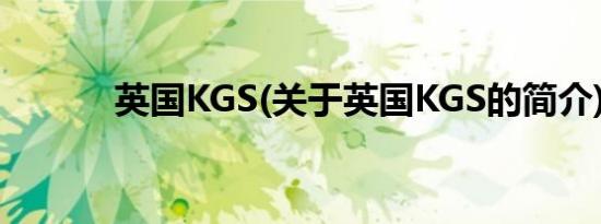 英国KGS(关于英国KGS的简介)