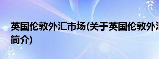 英国伦敦外汇市场(关于英国伦敦外汇市场的简介)