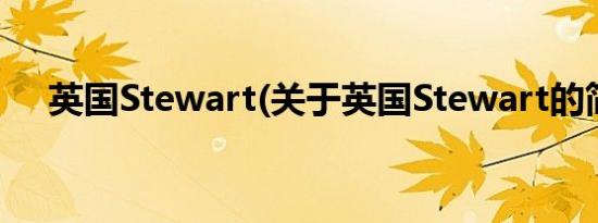 英国Stewart(关于英国Stewart的简介)