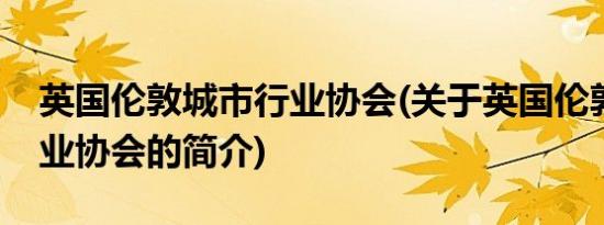 英国伦敦城市行业协会(关于英国伦敦城市行业协会的简介)