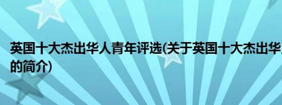 英国十大杰出华人青年评选(关于英国十大杰出华人青年评选的简介)