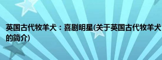 英国古代牧羊犬：喜剧明星(关于英国古代牧羊犬：喜剧明星的简介)