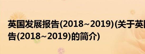 英国发展报告(2018~2019)(关于英国发展报告(2018~2019)的简介)