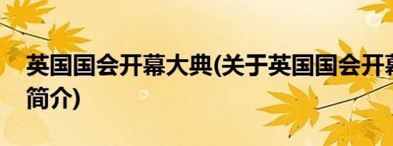 英国国会开幕大典(关于英国国会开幕大典的简介)