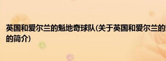 英国和爱尔兰的魁地奇球队(关于英国和爱尔兰的魁地奇球队的简介)