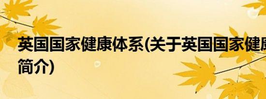 英国国家健康体系(关于英国国家健康体系的简介)