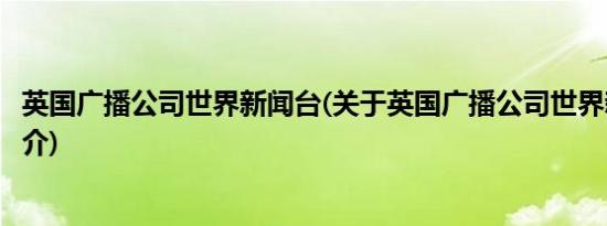 英国广播公司世界新闻台(关于英国广播公司世界新闻台的简介)