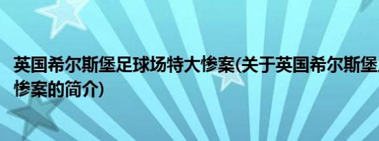 英国希尔斯堡足球场特大惨案(关于英国希尔斯堡足球场特大惨案的简介)