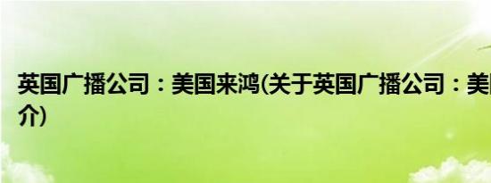 英国广播公司：美国来鸿(关于英国广播公司：美国来鸿的简介)