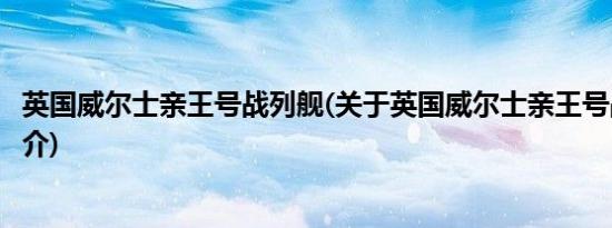 英国威尔士亲王号战列舰(关于英国威尔士亲王号战列舰的简介)