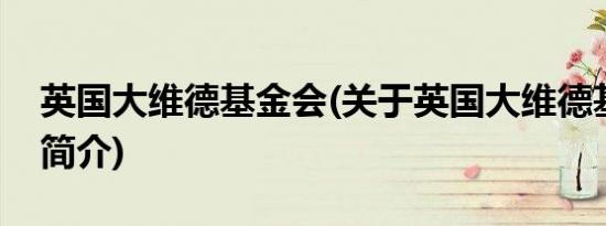 英国大维德基金会(关于英国大维德基金会的简介)