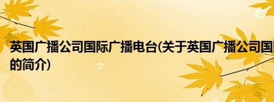 英国广播公司国际广播电台(关于英国广播公司国际广播电台的简介)