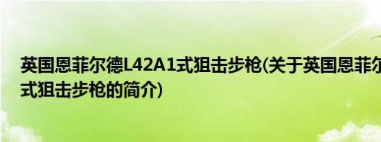 英国恩菲尔德L42A1式狙击步枪(关于英国恩菲尔德L42A1式狙击步枪的简介)