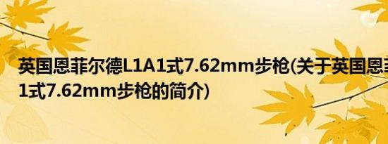 英国恩菲尔德L1A1式7.62mm步枪(关于英国恩菲尔德L1A1式7.62mm步枪的简介)