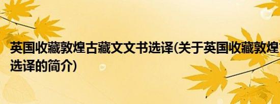 英国收藏敦煌古藏文文书选译(关于英国收藏敦煌古藏文文书选译的简介)