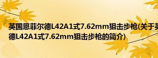 英国恩菲尔德L42A1式7.62mm狙击步枪(关于英国恩菲尔德L42A1式7.62mm狙击步枪的简介)