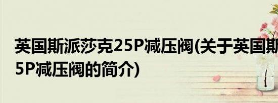 英国斯派莎克25P减压阀(关于英国斯派莎克25P减压阀的简介)