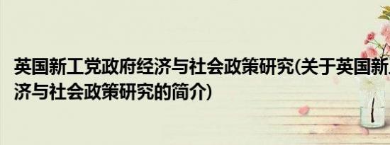 英国新工党政府经济与社会政策研究(关于英国新工党政府经济与社会政策研究的简介)