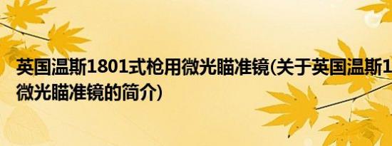 英国温斯1801式枪用微光瞄准镜(关于英国温斯1801式枪用微光瞄准镜的简介)