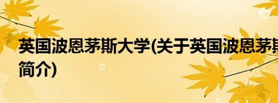 英国波恩茅斯大学(关于英国波恩茅斯大学的简介)