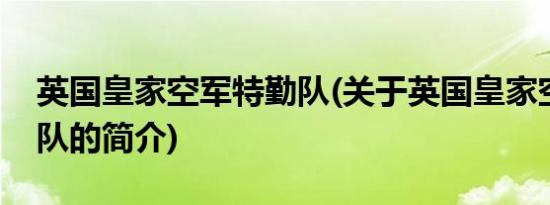 英国皇家空军特勤队(关于英国皇家空军特勤队的简介)