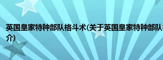 英国皇家特种部队格斗术(关于英国皇家特种部队格斗术的简介)