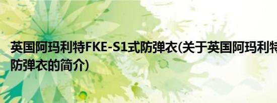 英国阿玛利特FKE-S1式防弹衣(关于英国阿玛利特FKE-S1式防弹衣的简介)