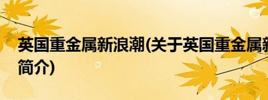 英国重金属新浪潮(关于英国重金属新浪潮的简介)