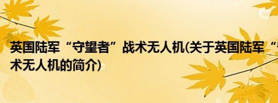 英国陆军“守望者”战术无人机(关于英国陆军“守望者”战术无人机的简介)